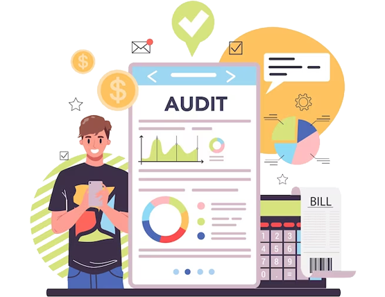 Website Audit